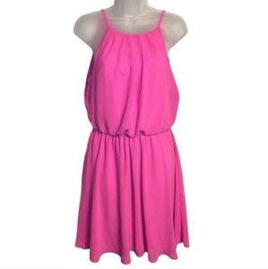 Francesca's NWT Lush Mini Dress